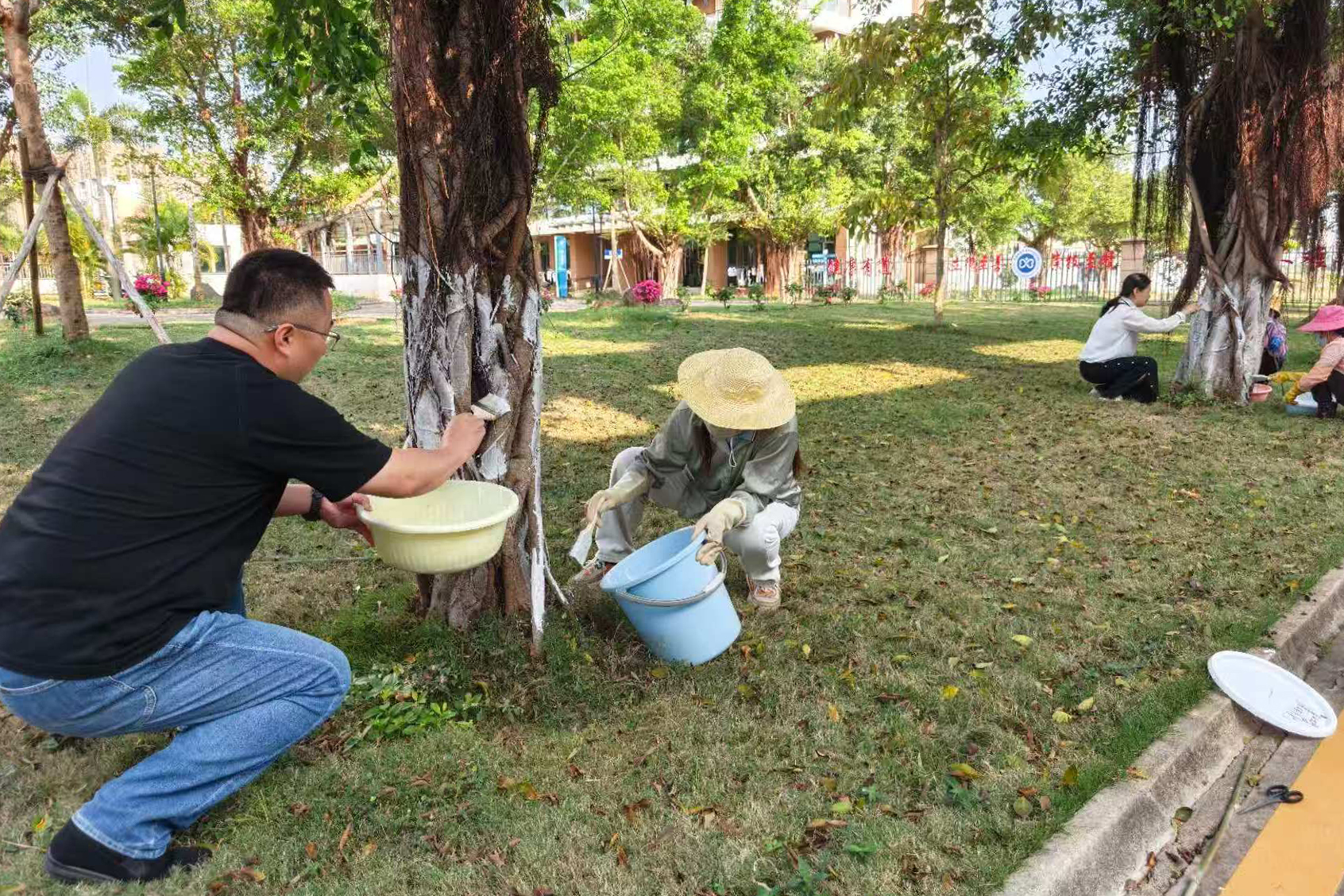 1775034782984268.jpg 1775034782984268.jpg