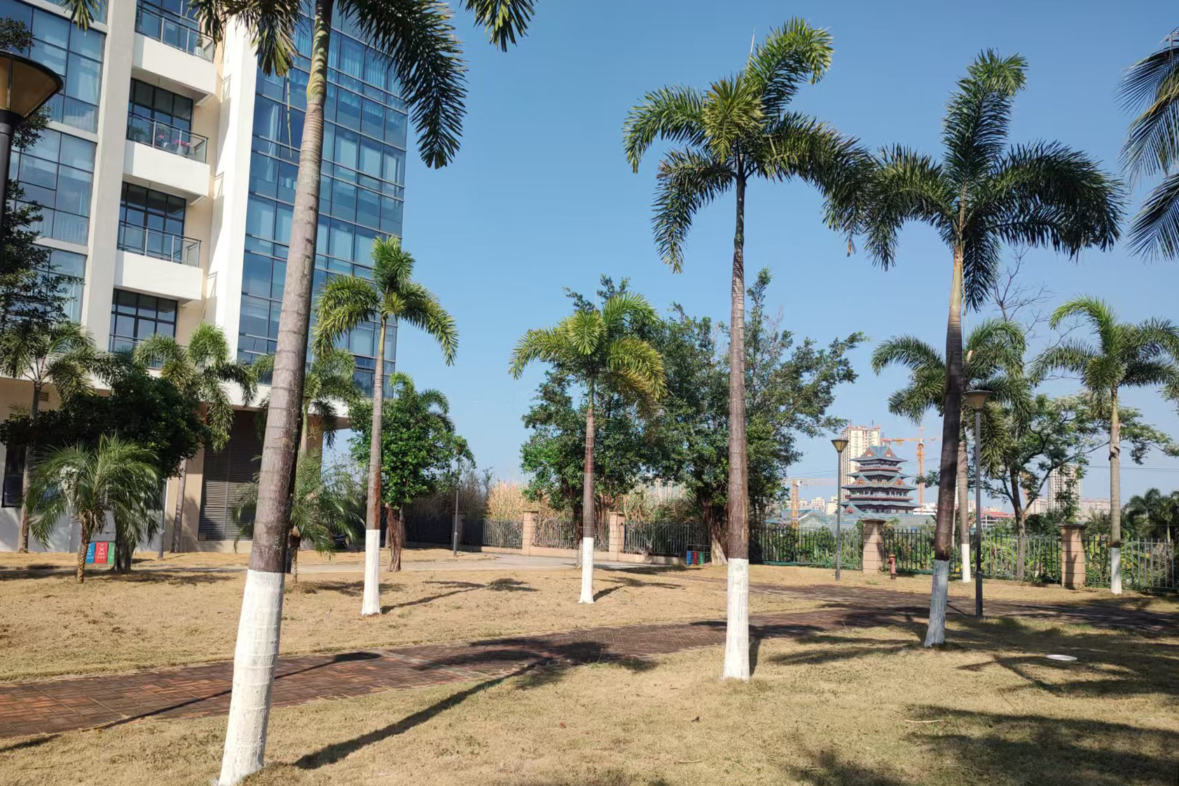 1775034797714703.jpg 1775034797714703.jpg